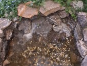silder_img1